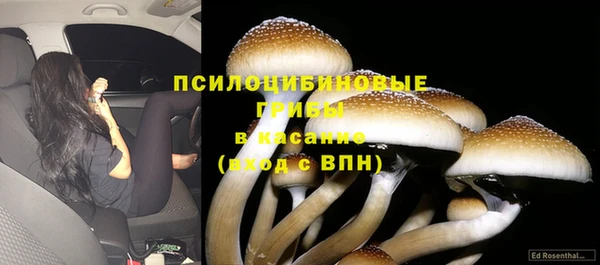 бутират Верхний Тагил